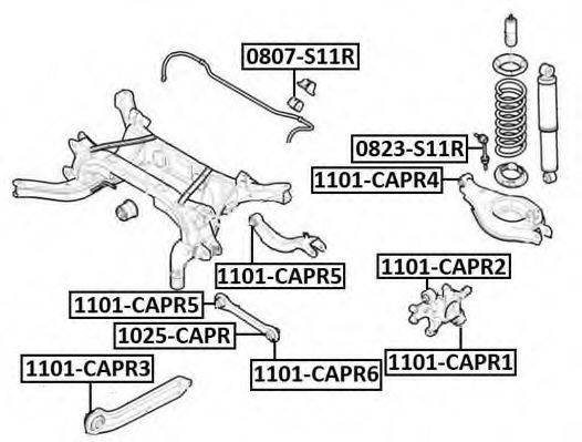 ASVA 1101-CAPR6 Control Arm-/Trailing Arm Bush